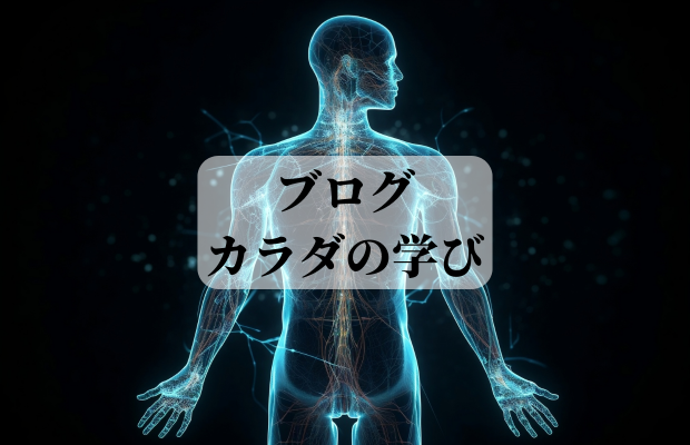 浦和│北浦和の初心者に優しい男性大歓迎の少人数制ヨガスタジオ‐浦和姿勢改善Lab-エクリエンス(ブログ‐体についての学び)